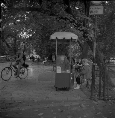 A cyclist passes by a food kiosk under trees in a park setting.